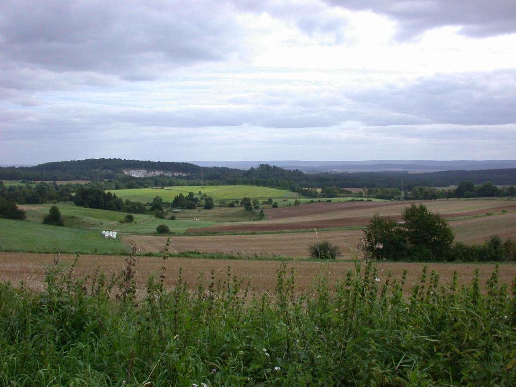 Hotel Muehlenberg Bad Sachsa Eksteriør billede