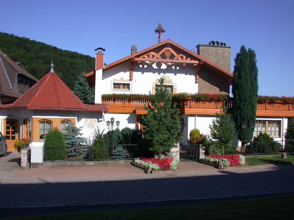 Hotel Muehlenberg Bad Sachsa Eksteriør billede